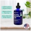 Radha Beauty Organic Rosehip Seed Oil, 100% Pure Cold Pressed - Image 2
