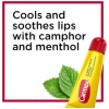 Carmex Medicated Lip Balm Tubes, Lip Moisturizer for Dry, Chapped Lips, 3 Count - Image 3