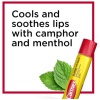 Carmex Medicated Lip Balm Sticks, Lip Moisturizer for Dry, Chapped Lips - Image 2