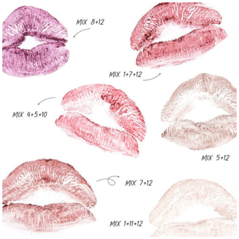 Kara Beauty MUA CUSTOMIZABLE Matte Lip Palette 12-Shades - Image 2